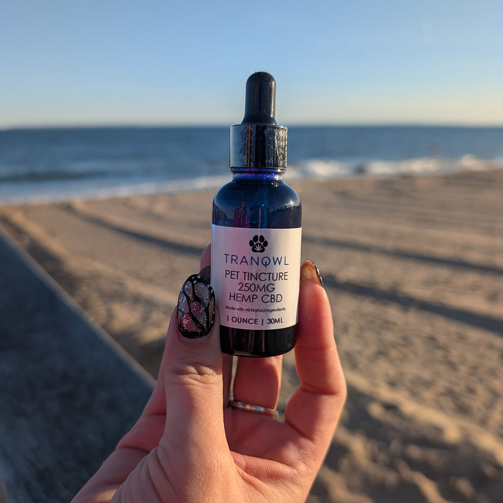 TRANQWL Hemp CBD Pet Tincture - 250mg CBD