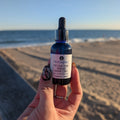 TRANQWL Hemp CBD Pet Tincture - 250mg CBD